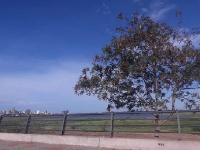 Meteorología anuncia un miércoles caluroso y sin lluvias