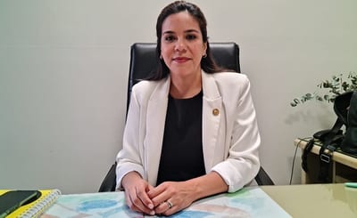 Diputada denuncia maniobra para blanquear a “Nenecho”