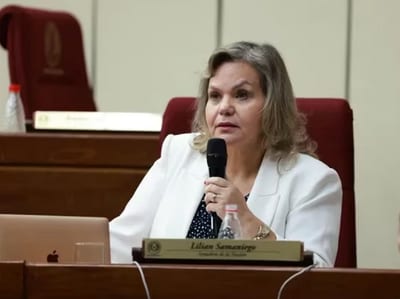 Senadora colorada pide postergar estudio sobre control de ONG