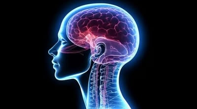 Estudio revela potencial de rejuvenecimiento cerebral