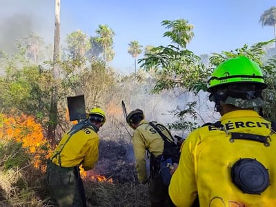 Bomberos intensifican combate contra incendios forestales en Bahía Negra