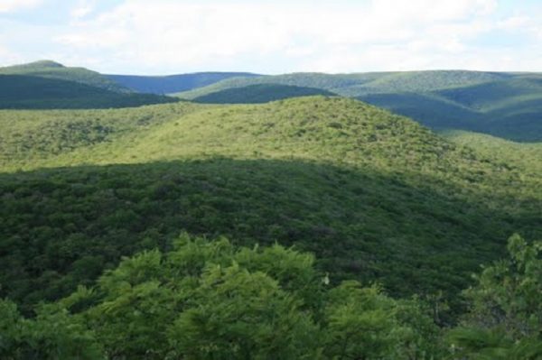 Revelan existencia de mina de diamantes en Cerro Le n