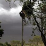 Meteorología anuncia lluvias y descenso de temperatura para este jueves