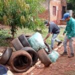 Día Nacional contra el Dengue: la lucha continúa