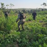 Operativo “Jeporeka” avanza en la Reserva Natural del Mbaracayú