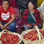 Frutillas a precio accesible inundan el Mercado de Abasto