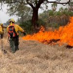 Chaco en llamas: Más de 50.000 hectáreas consumidas por incendios