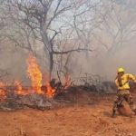 Infona denunciará ante la Fiscalía origen de incendio en el Chaco