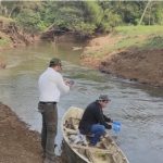 Mades recomienda evitar consumir peces muertos flotando en arroyos