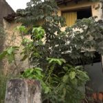 Vecinos denuncian casa abandonada utilizada como aguantadero de adictos