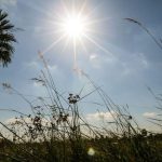 Altas temperaturas y vientos del norte marcarán el inicio de la semana