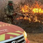 Incendio en Chovoreca arrasa más de 100.000 hectáreas de bosques nativos