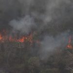 Reactivación del incendio en el Monumento Cerro Chovoreca