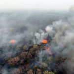 Incendio en Chovoreca: Naturaleza frena avance, pero situación sigue crítica