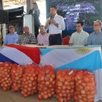 Paraguay realiza primera exportación de cebolla a Argentina