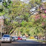 Sábado cálido con vientos del sur en todo el territorio nacional