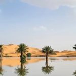 Inundaciones históricas en el Sahara tras décadas de sequía