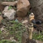 Vecinos de Ñemby sufren 48 horas sin agua en medio del calor extremo