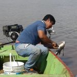 Ofrecen últimos pescados en Remanso antes de la veda