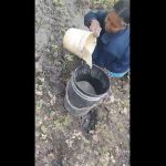 Crisis hídrica en el Chaco: Comunidad indígena sin agua potable