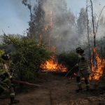 Chile en alerta roja por incendios forestales en cinco comunas