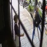 Mujer detiene a ladrón con una silla en Resistencia, Argentina