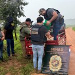 Detienen en Canindeyú a distribuidores con 141 kg de marihuana