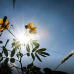 Clima caluroso y nublado para este jueves en todo el país