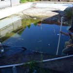 Municipalidad interviene piscina abandonada en Asunción