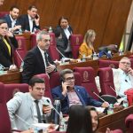 Diputados definirán mañana el RUN y la Ley de Carrera Civil