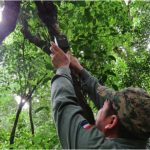 IA impulsa conservación en la Reserva Tapytá de Caazapá