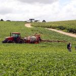 Producción de soja en riesgo por déficit de lluvias en el país