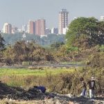 Declaran emergencia y cierre de la reserva San Miguel por un año