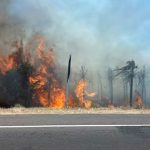 Nuevo incendio en ruta Luque-San Bernardino