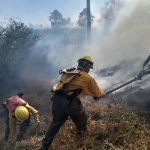 Incendios forestales amenazan múltiples regiones de Paraguay