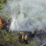 Incendios forestales devastan 11.000 hectáreas