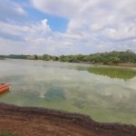 Sequía y calor provocan proliferación de algas en lago de CDE