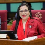 Senado exigirá al INE informe sobre contratación del hijo de Yamy Nal